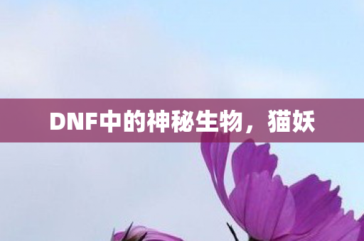 DNF中的神秘生物，猫妖