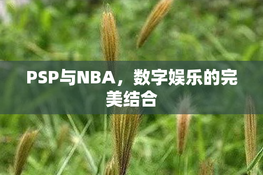 PSP与NBA，数字娱乐的完美结合
