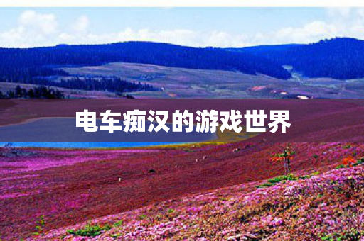 电车痴汉的游戏世界