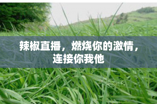 辣椒直播，燃烧你的激情，连接你我他