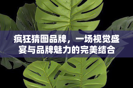疯狂猜图品牌，一场视觉盛宴与品牌魅力的完美结合