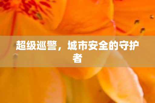 超级巡警，城市安全的守护者