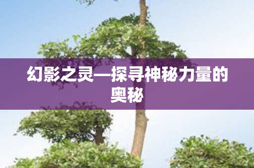 幻影之灵—探寻神秘力量的奥秘
