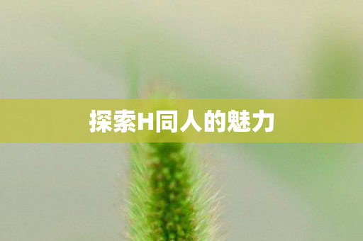 探索H同人的魅力