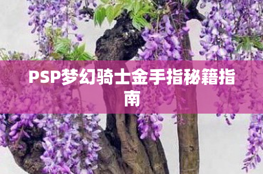 PSP梦幻骑士金手指秘籍指南