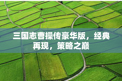 三国志曹操传豪华版，经典再现，策略之巅