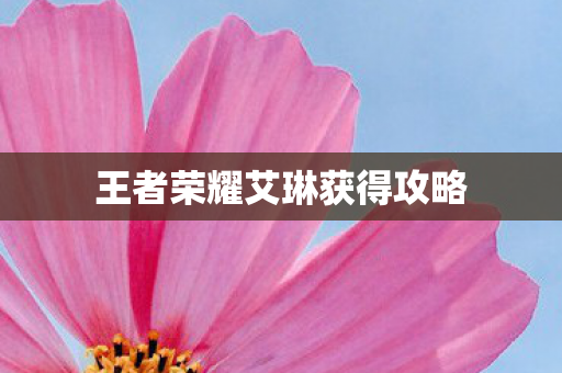 王者荣耀艾琳获得攻略