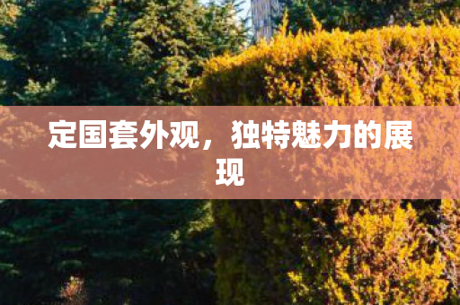 定国套外观，独特魅力的展现