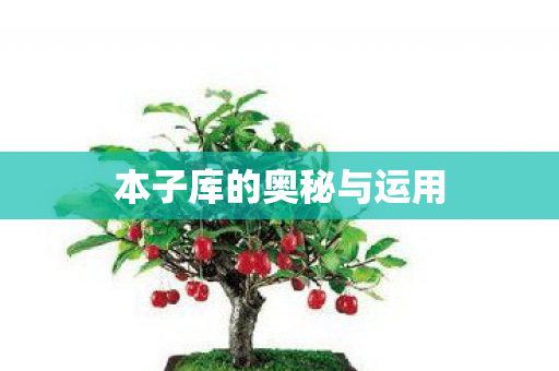 本子库的奥秘与运用