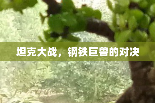 坦克大战，钢铁巨兽的对决