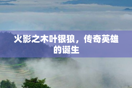 火影之木叶银狼，传奇英雄的诞生