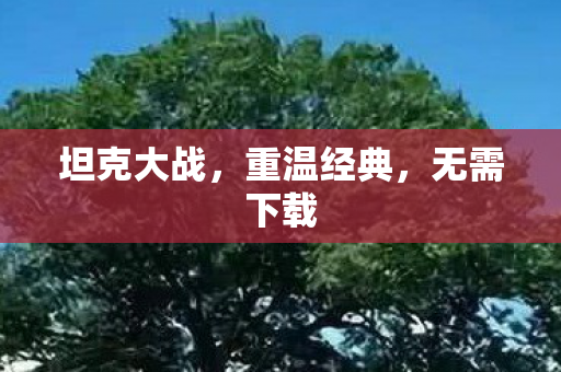 坦克大战，重温经典，无需下载
