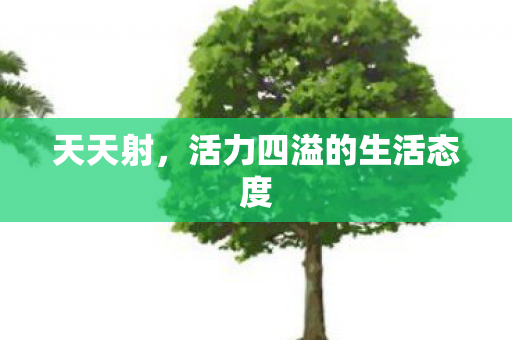 天天射，活力四溢的生活态度