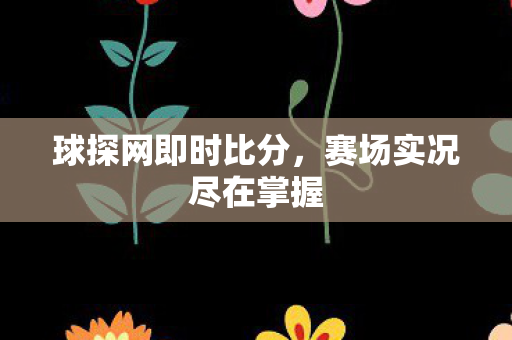 球探网即时比分，赛场实况尽在掌握
