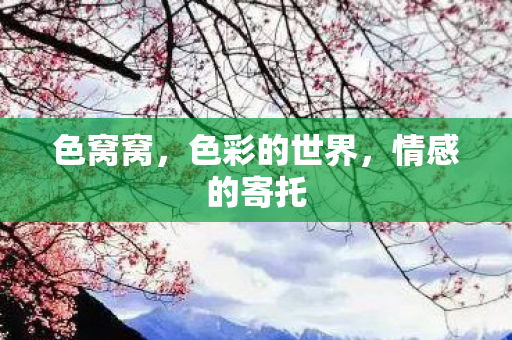 色窝窝，色彩的世界，情感的寄托