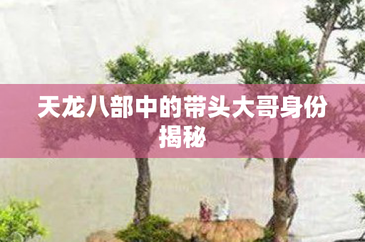 天龙八部中的带头大哥身份揭秘