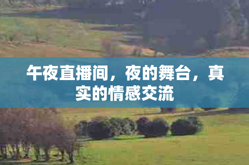 午夜直播间，夜的舞台，真实的情感交流