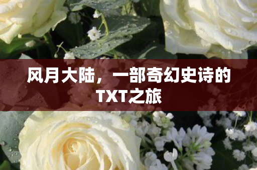 风月大陆，一部奇幻史诗的TXT之旅