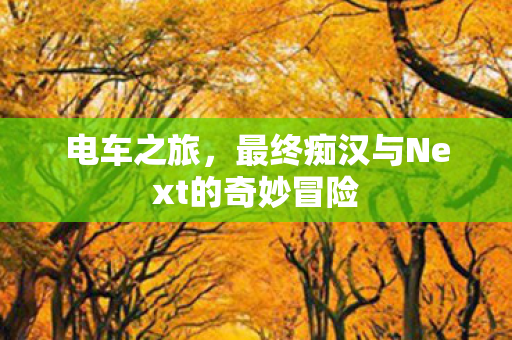 电车之旅，最终痴汉与Next的奇妙冒险