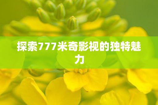 探索777米奇影视的独特魅力