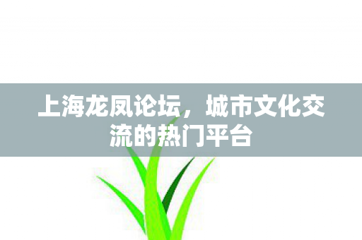 上海龙凤论坛，城市文化交流的热门平台