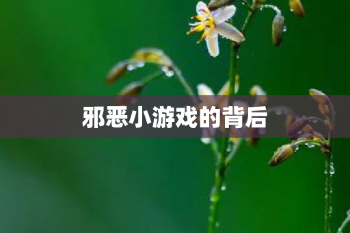 邪恶小游戏的背后