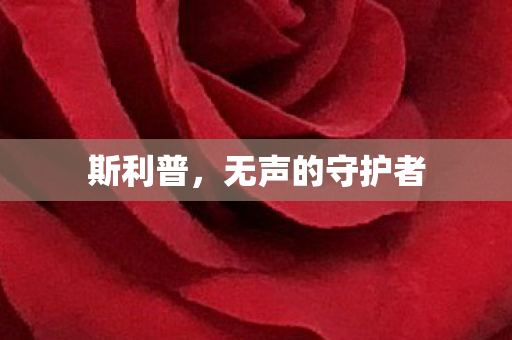 斯利普，无声的守护者