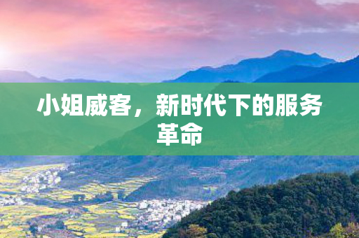 小姐威客，新时代下的服务革命