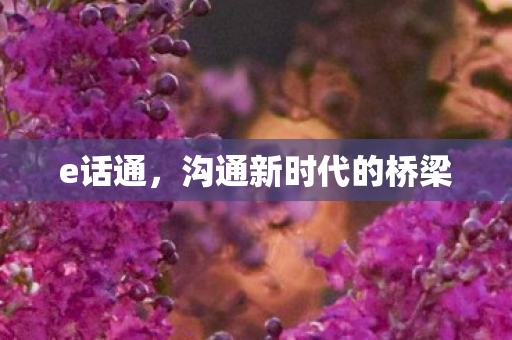 e话通，沟通新时代的桥梁