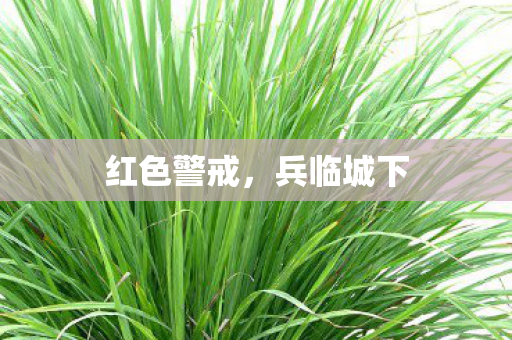 红色警戒，兵临城下