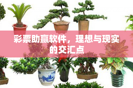 彩票助赢软件，理想与现实的交汇点