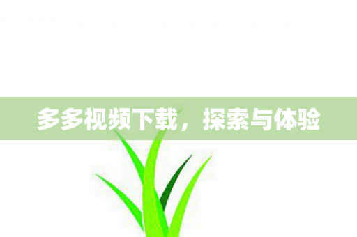 多多视频下载，探索与体验