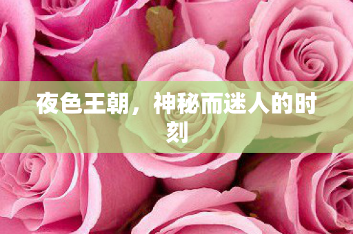 夜色王朝，神秘而迷人的时刻