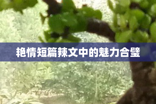 艳情短篇辣文中的魅力合璧