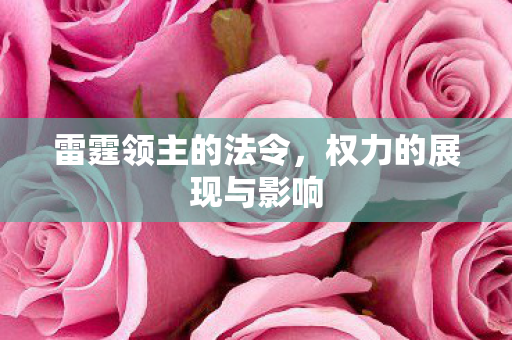雷霆领主的法令，权力的展现与影响