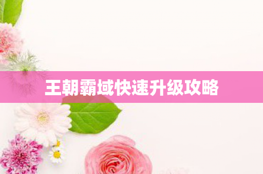 王朝霸域快速升级攻略