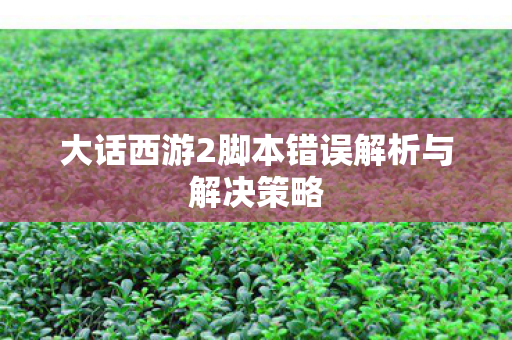 大话西游2脚本错误解析与解决策略