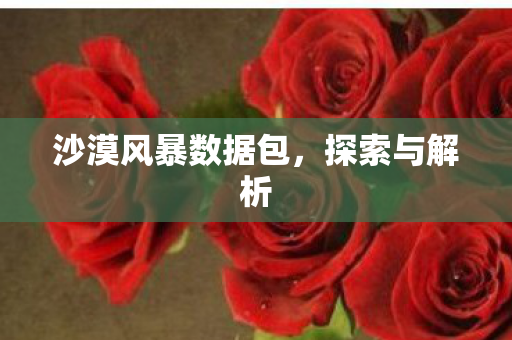 沙漠风暴数据包，探索与解析