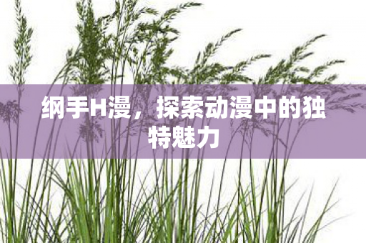 纲手H漫，探索动漫中的独特魅力