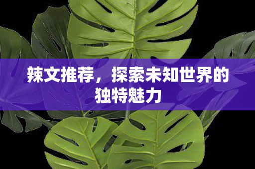 辣文推荐，探索未知世界的独特魅力