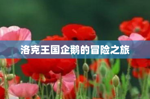 洛克王国企鹅的冒险之旅