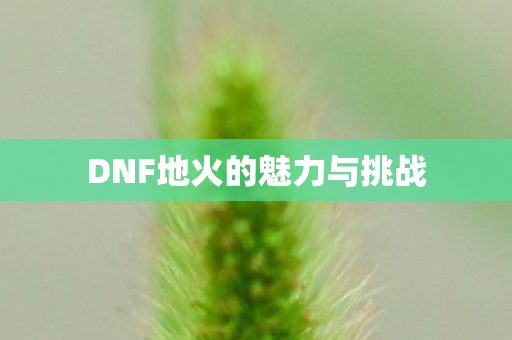 DNF地火的魅力与挑战