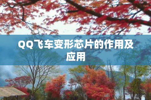 QQ飞车变形芯片的作用及应用