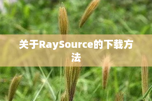 关于RaySource的下载方法