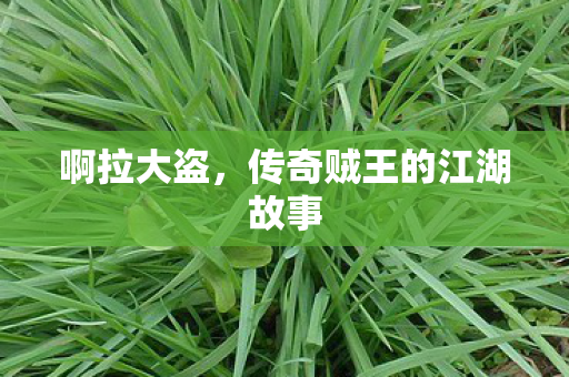 啊拉大盗，传奇贼王的江湖故事