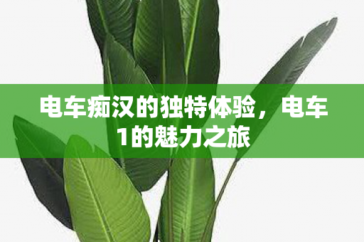 电车痴汉的独特体验，电车1的魅力之旅