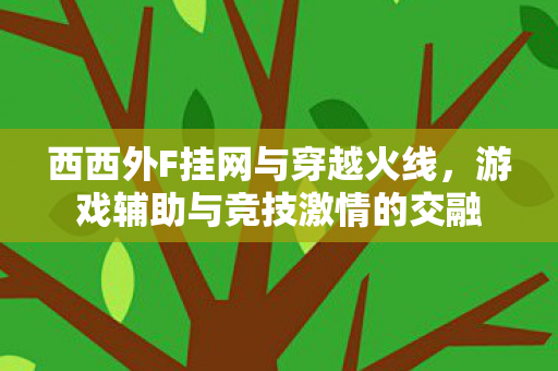 西西外F挂网与穿越火线，游戏辅助与竞技激情的交融