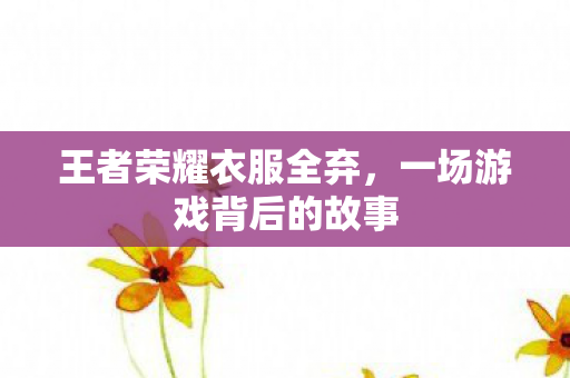 王者荣耀衣服全弃，一场游戏背后的故事