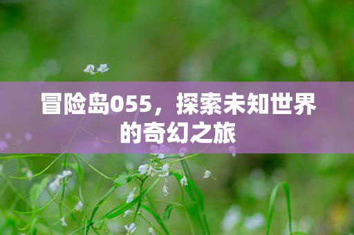 冒险岛055,探索未知世界的奇幻之旅 冒险岛055,探索未知世界的奇幻之旅