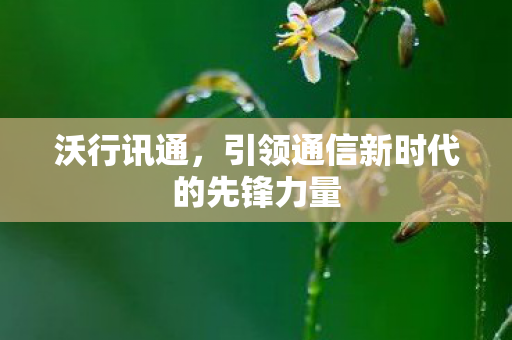 沃行讯通，引领通信新时代的先锋力量